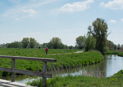 Wandelmarathon Roos van Roosendaal