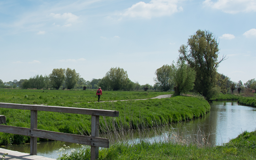 Wandelmarathon Roos van Roosendaal
