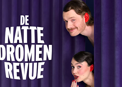 De Natte Dromen Revue