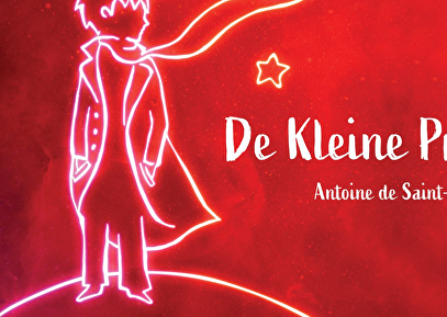 De Kleine Prins (8+)