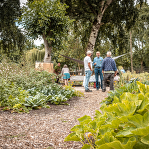 Natuurexcursie-Estafette KNNV Roosendaal