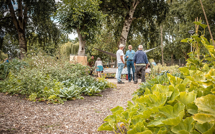 Natuurexcursie-Estafette KNNV Roosendaal