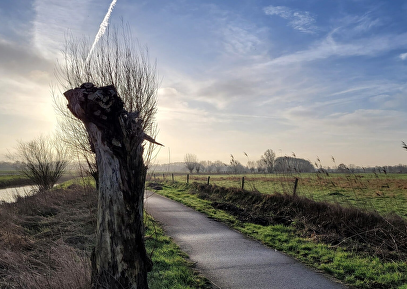 Mars Rondom Roosendaal