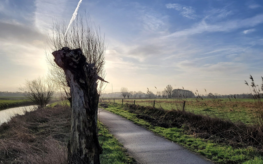 Mars Rondom Roosendaal