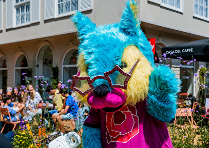 Rosie's Zomerfeest
