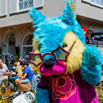Rosie's Zomerfeest