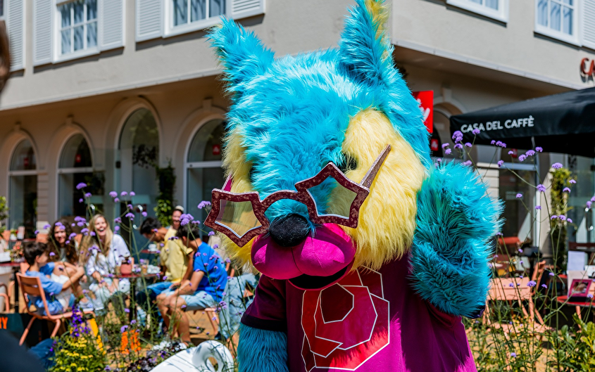 Rosie's Zomerfeest