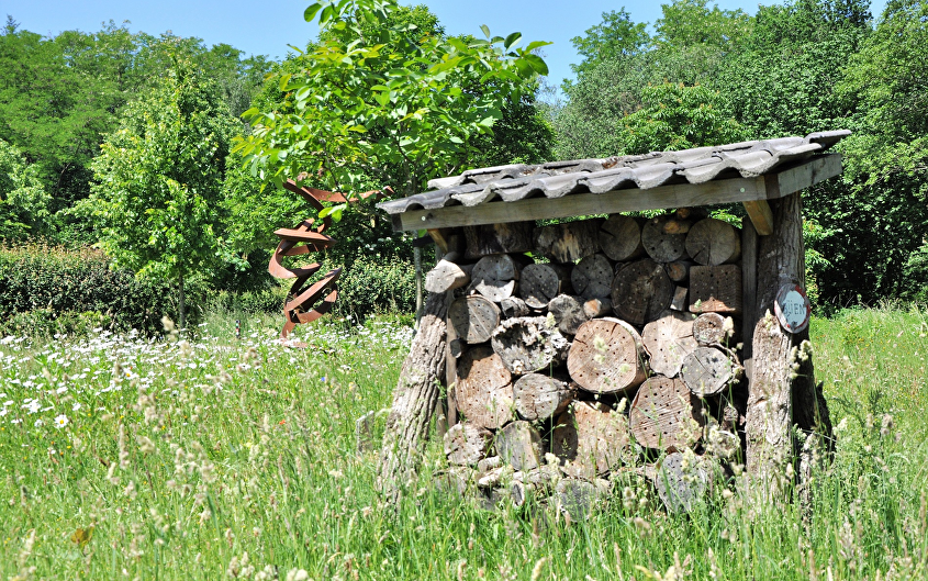 IVN Natuurexcursie Leemputten en de Nieuwe Wereld