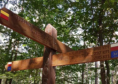 Wandeltocht Wouwse Plantage
