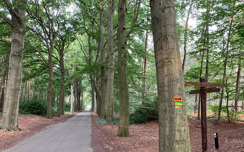 Wandeltocht Wouwse Plantage