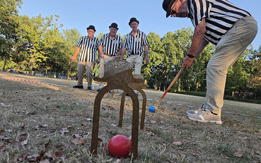 Croquet met IQ