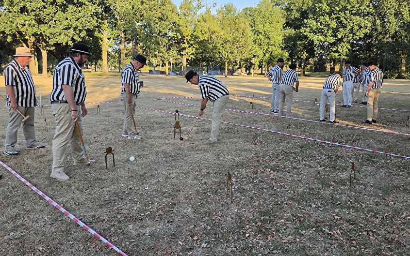 Croquet met IQ