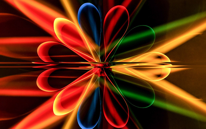 Foto/video weekend in Wouw