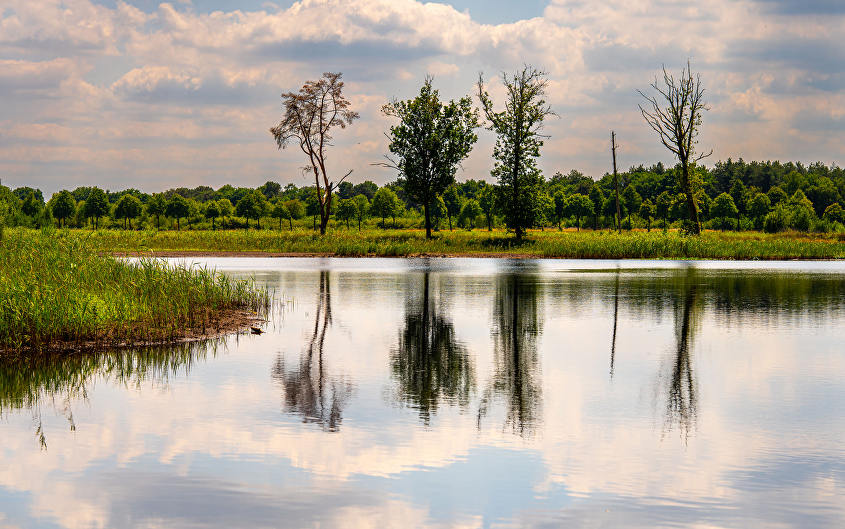 Roosendaalse vennen door de lens van muziek