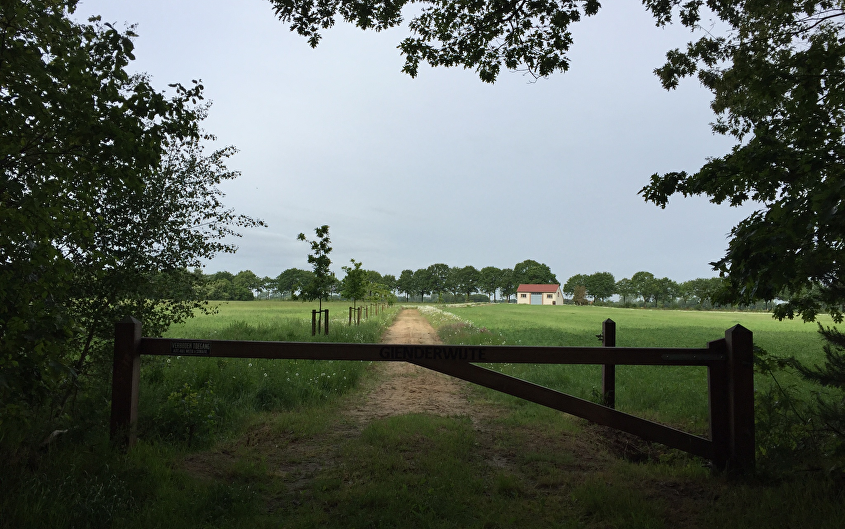 KNNV Roosendaal: Nieuwe natuur op Landgoed Gienderwijte