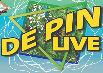 De Pin Live en Braderiefeesten