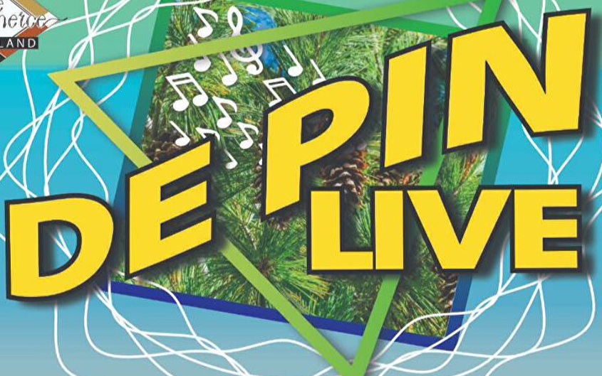 De Pin Live en Braderiefeesten