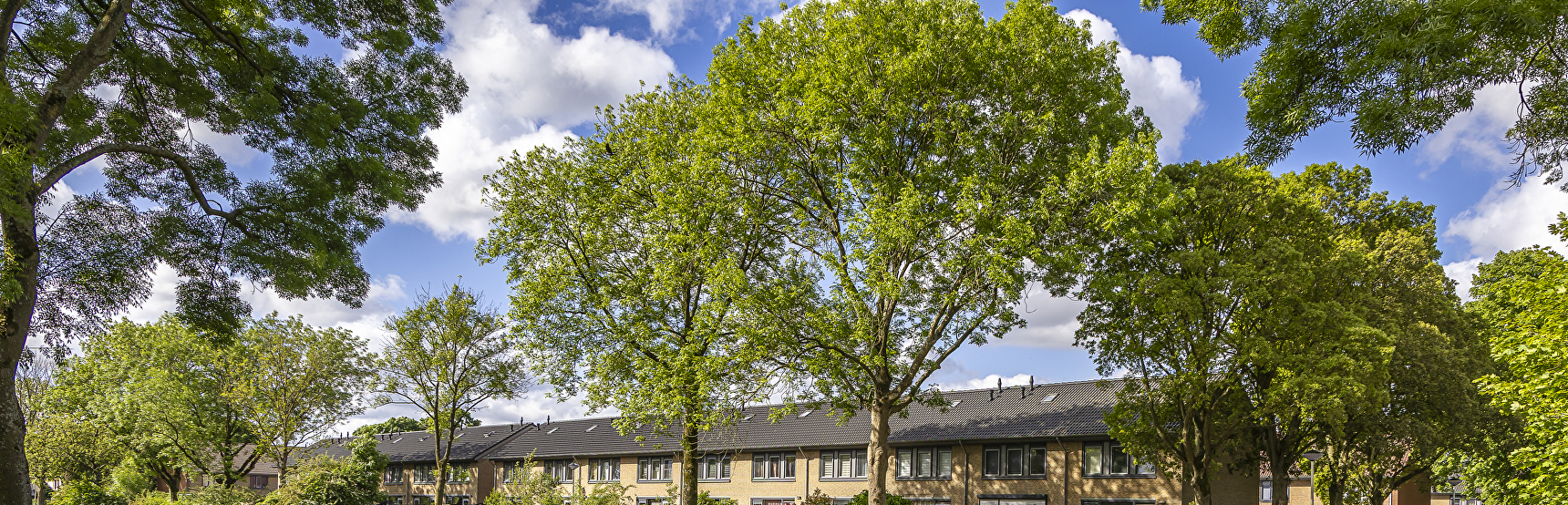 Groene wijk met toekomst