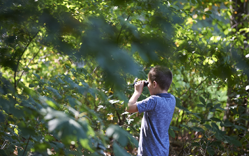 Burgemeester Godwaldtpark