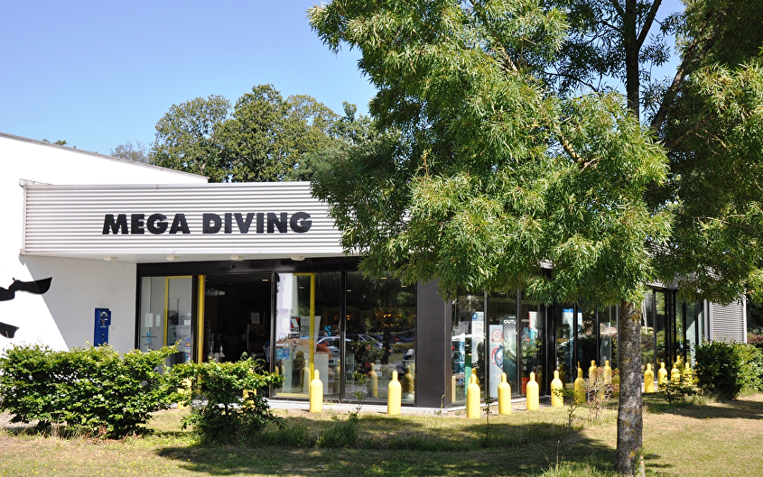 Mega Diving