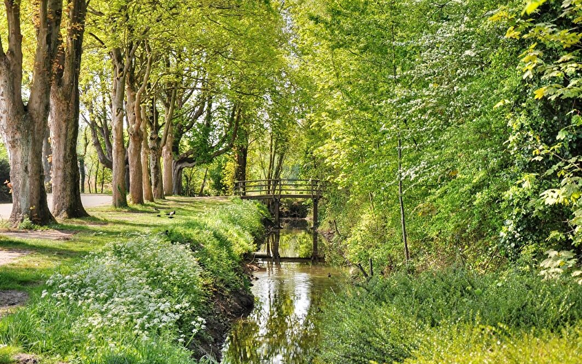 Vestinggrachten van Steenbergen
