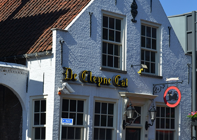 De Cleyne Cat