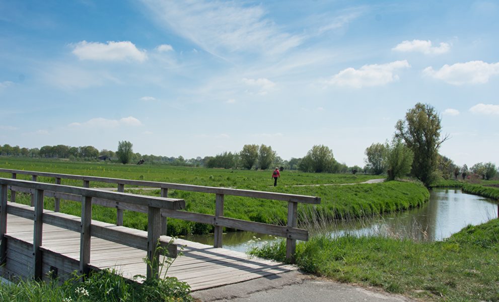 Wandelmarathon Roos van Roosendaal