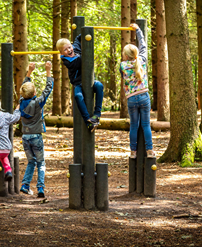 Wandelen in het Visdonk