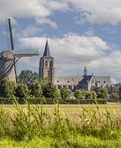 Meer informatie