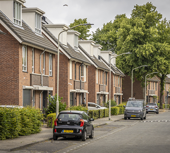 Burgerhout