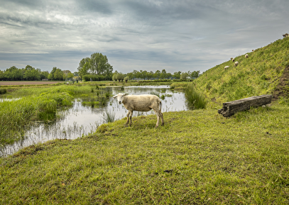 Kasteelroute