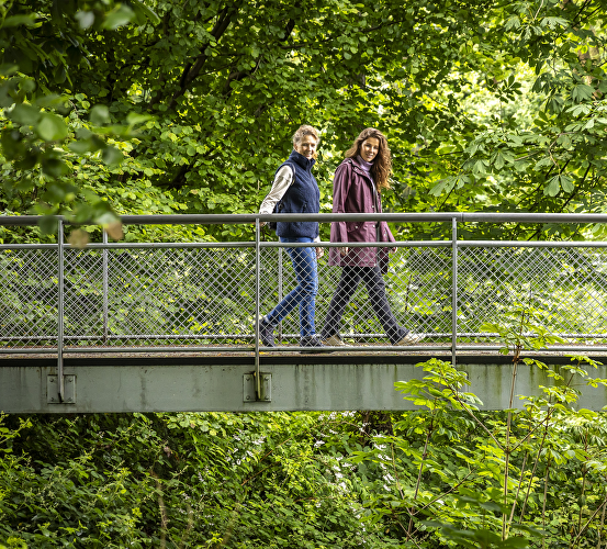 Natuurpoort Wouwse Plantage