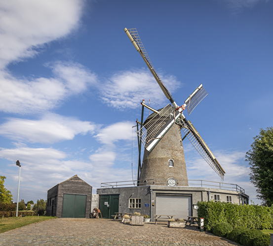 Molen De Arend